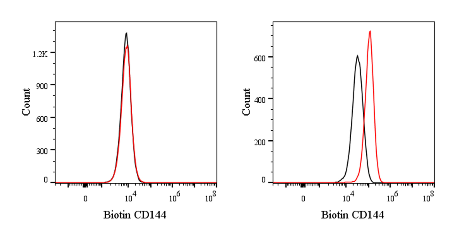 Biotin Rat Anti-Mouse CD144 Antibody (S-R719)