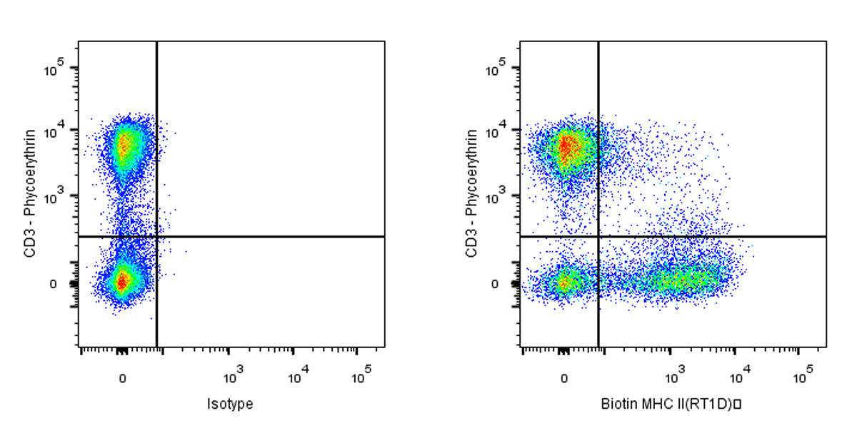 Biotin Mouse Anti-Rat MHC II (RT1D) Antibody (OX-17)