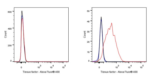 Tissue factor Recombinant Rabbit mAb (S-893-34)