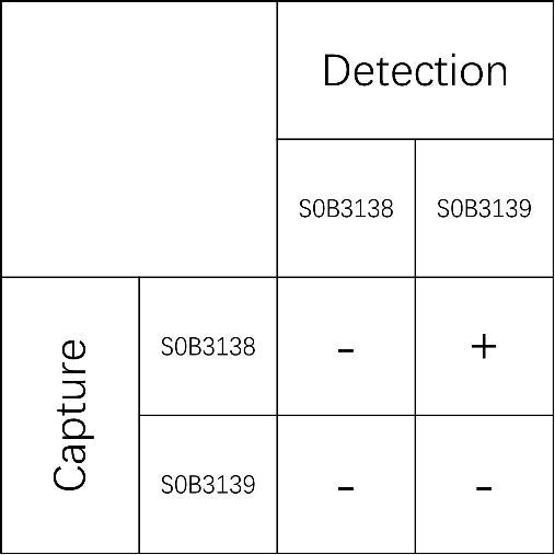 PIIINP Recombinant Rabbit mAb (SDT-149-57)