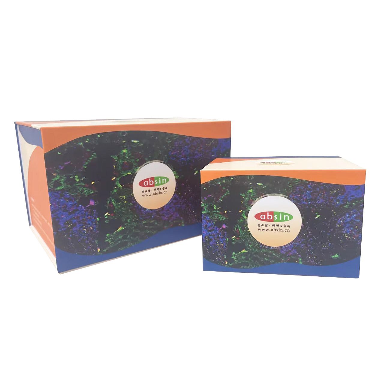 Product image media