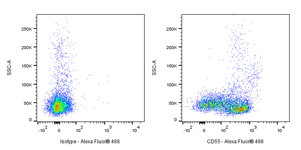 Mouse Anti-Human CD55 Antibody (S-3120)