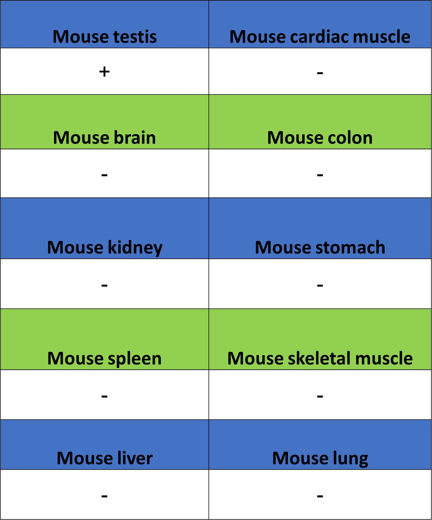 Perilipin-1 Recombinant Rabbit mAb (S-3093-31)