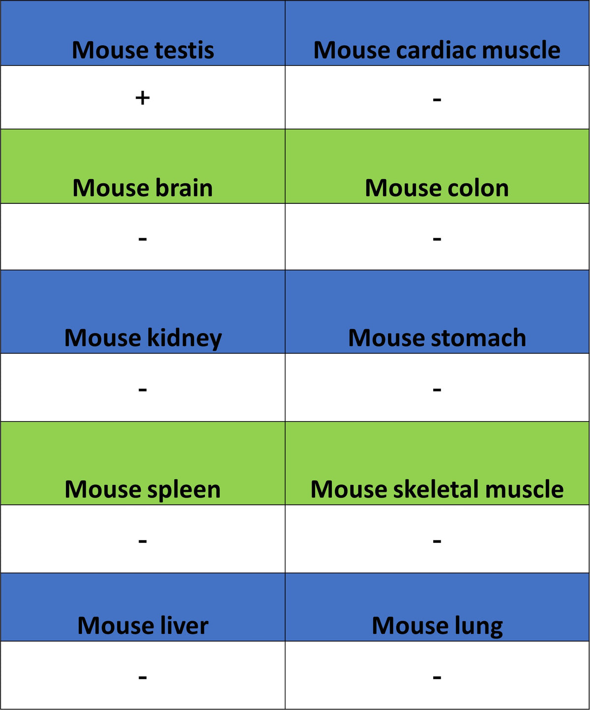Perilipin-1 Recombinant Rabbit mAb (S-3093-31)