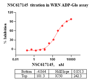 WRN Protein,Human