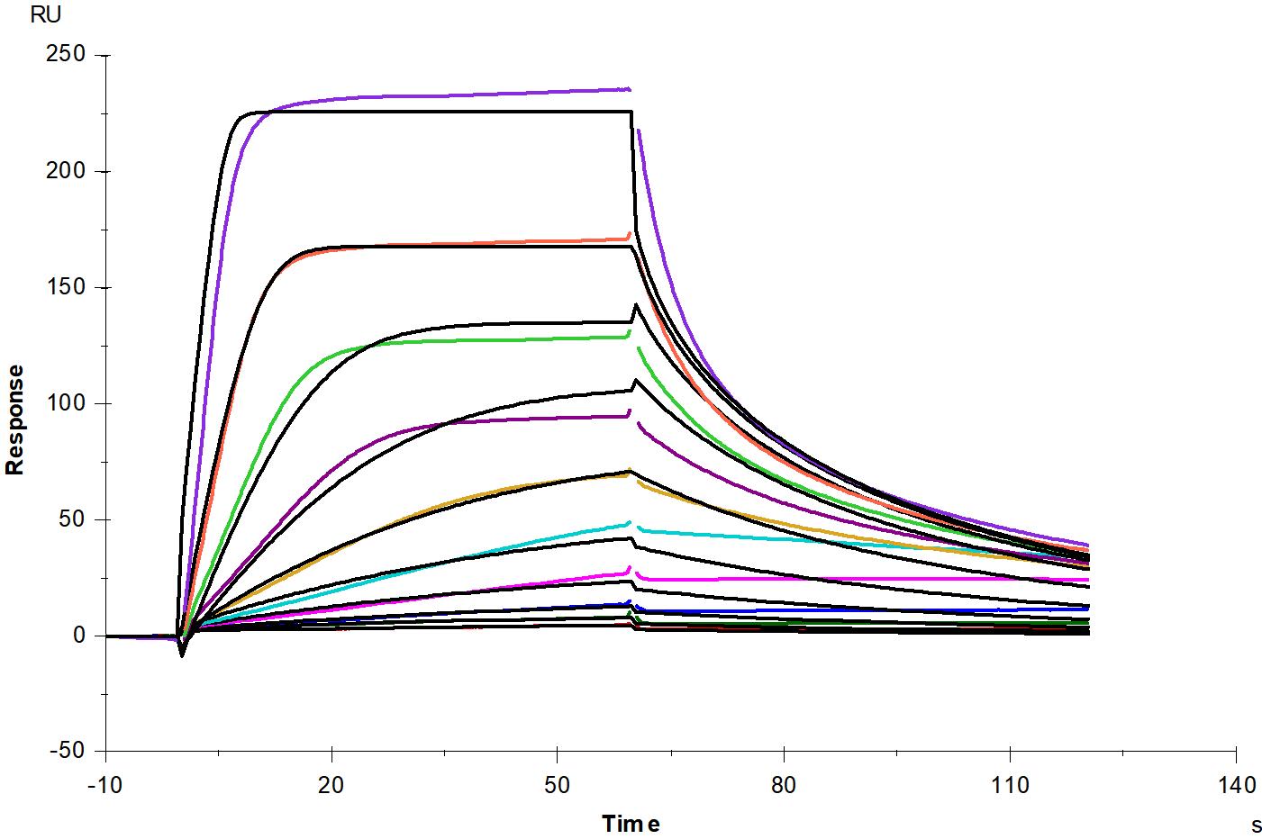 FGF R4 Fc Chimera Protein, Human