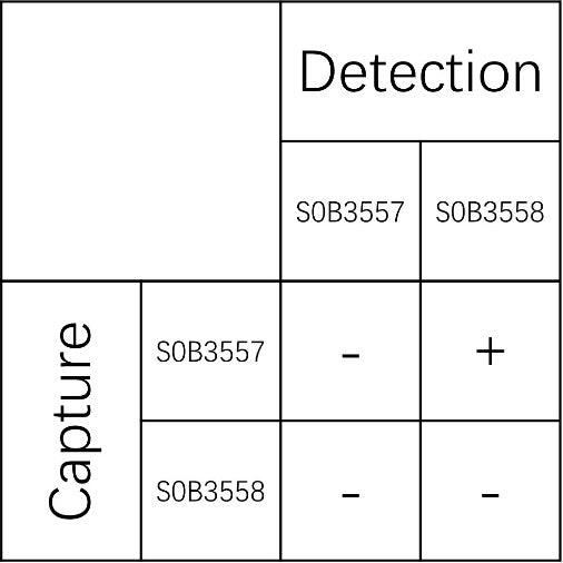 Presepsin Recombinant Rabbit mAb (SDT-2138-23)