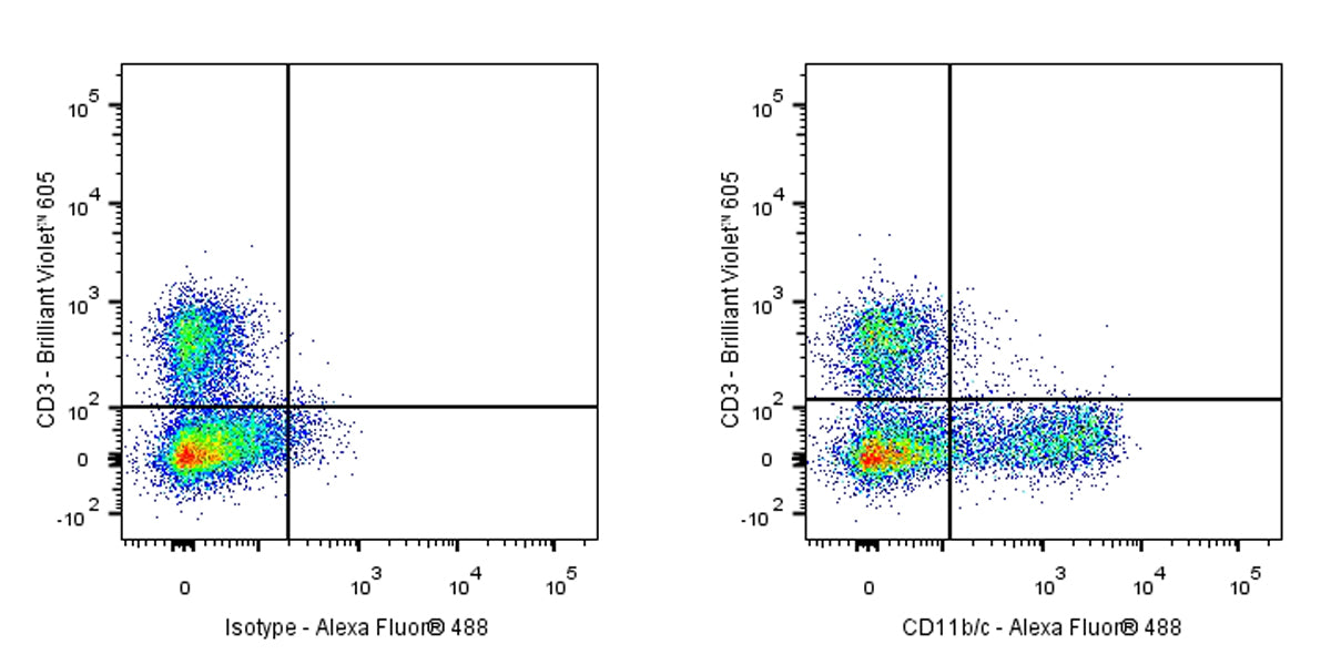 Mouse Anti-Rat CD11b/c Antibody (OX-42)