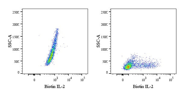 Biotin Rat Anti-Mouse IL-2 Antibody (JES6-5H4)