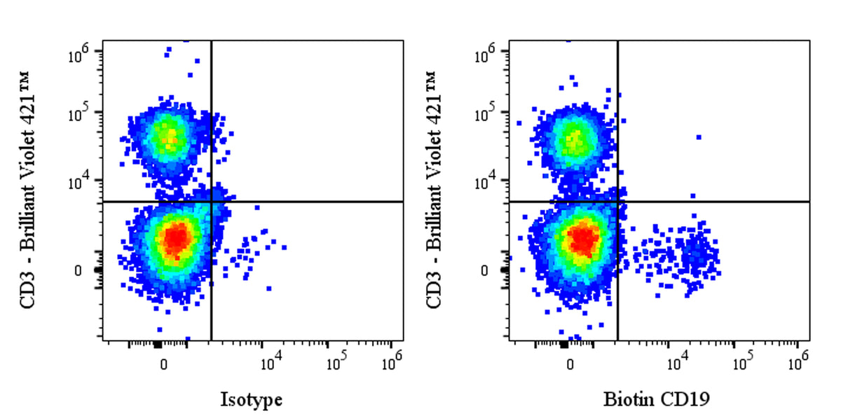 Biotin Mouse Anti-Human CD19 Antibody (S-1039-46)