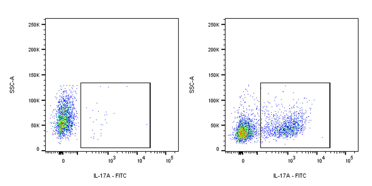 FITC Rat Anti-Mouse IL-17A Antibody (S-R683)