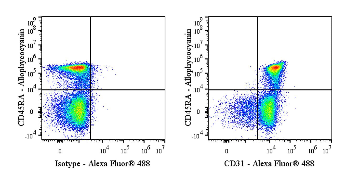 Alexa Fluor® 488 Mouse Anti-Rat CD31 Antibody (TLD-3A12)