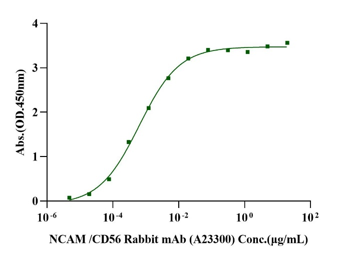 NCAM-1/CD56 His Tag Protein, Rat