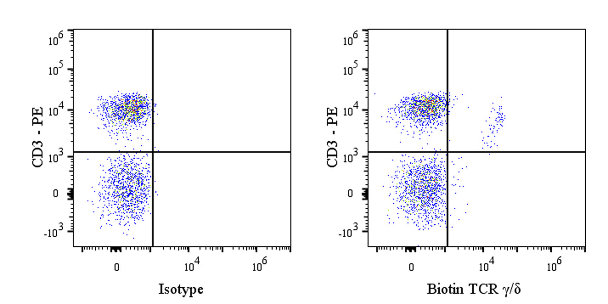 Biotin Mouse Anti-Rat TCR γ/δ Antibody (V65)