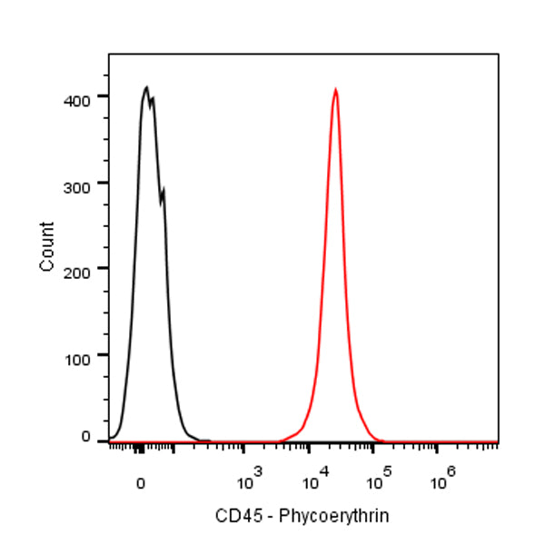 PE Mouse Anti-Rat CD45 Antibody (OX-1)