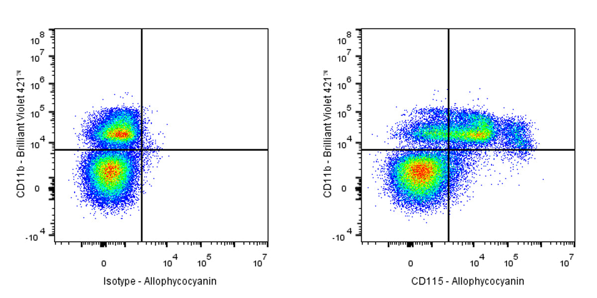 APC Rat Anti-Mouse CD115 Antibody (AFS98)