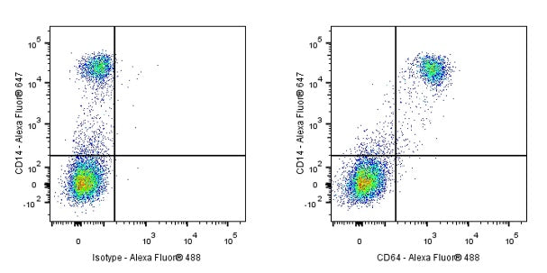 Goat Anti-Mouse lgG (H+L) (min X Hu, Bov Sr Prot) (Alexa Fluor® 488 Conjugate)