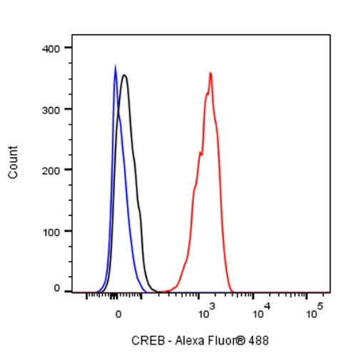 CREB Recombinant Rabbit mAb (S-1115-39)