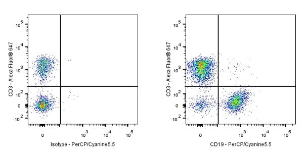 PerCP-Cy5.5 Rat Anti-Mouse CD19 Antibody (1D3)