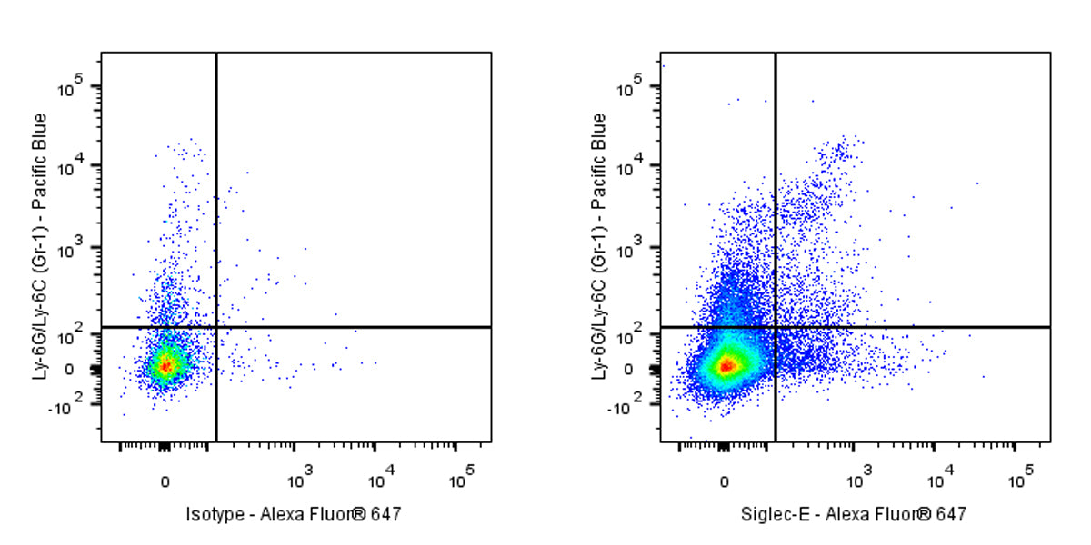 Rat Anti-Mouse Siglec-E Antibody (S-3881)