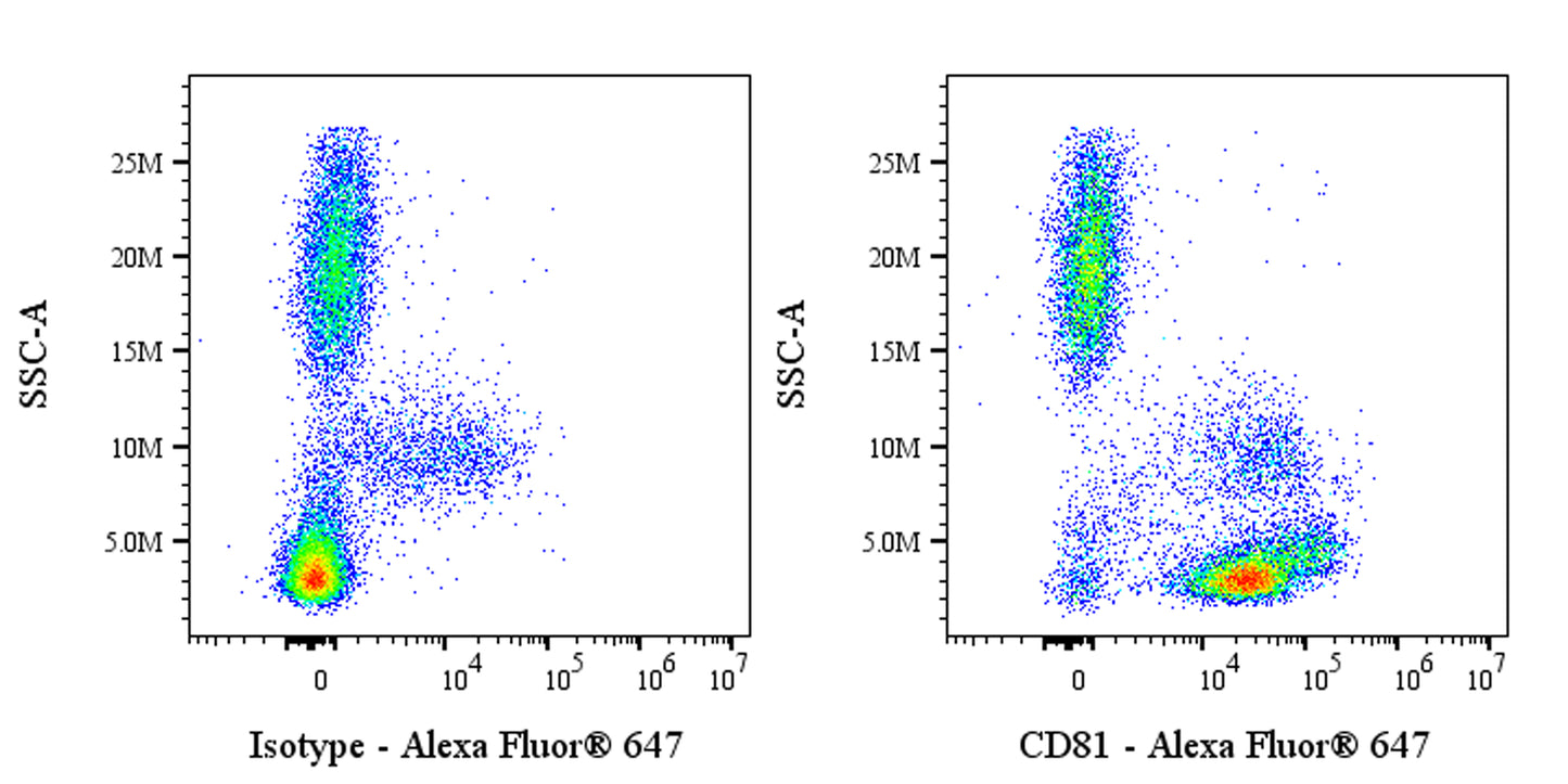 Alexa Fluor® 647 Mouse Anti-Human CD81 Antibody (5A6)