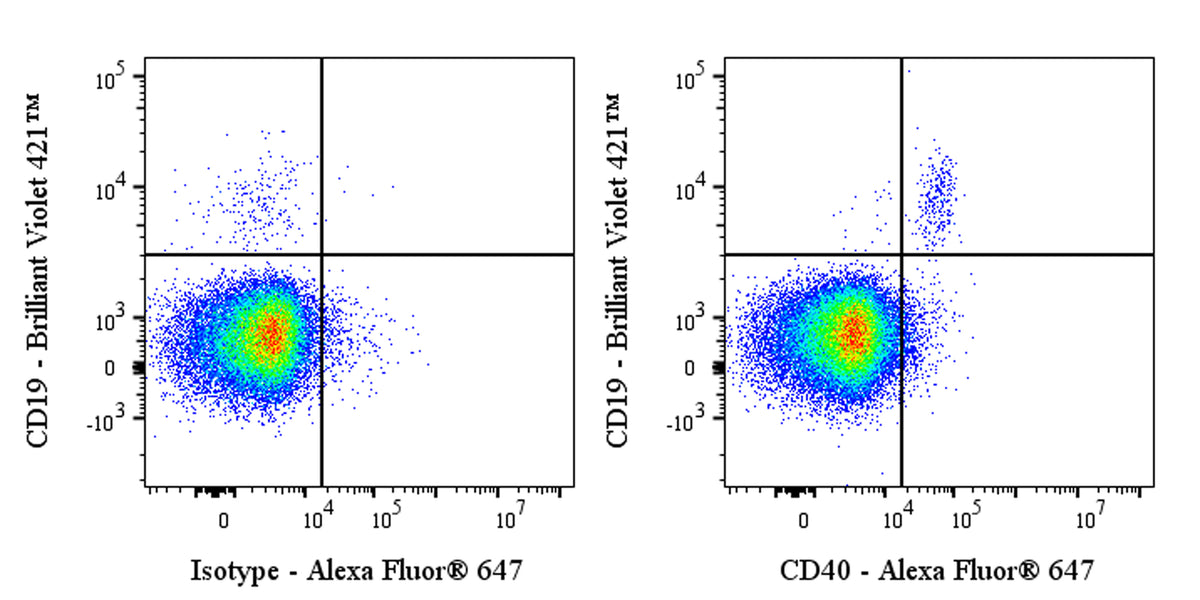 Alexa Fluor® 647 Mouse Anti-Human CD40 Antibody (S-R485)
