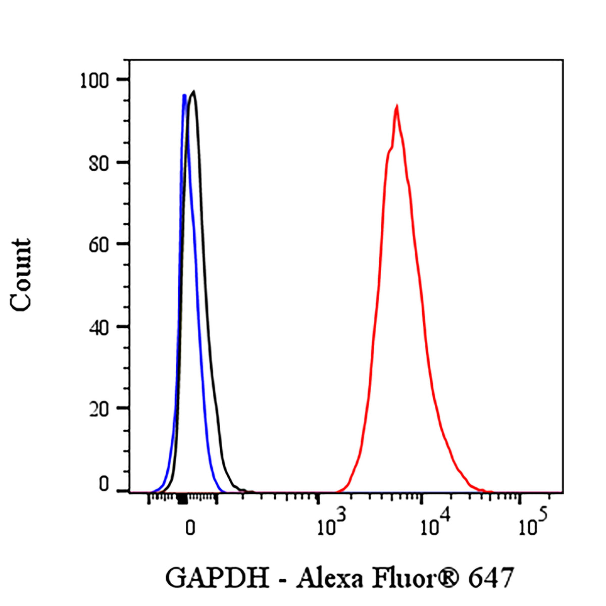 GAPDH Recombinant Rabbit mAb (Alexa Fluor® 647 Conjugate) (S-4718)