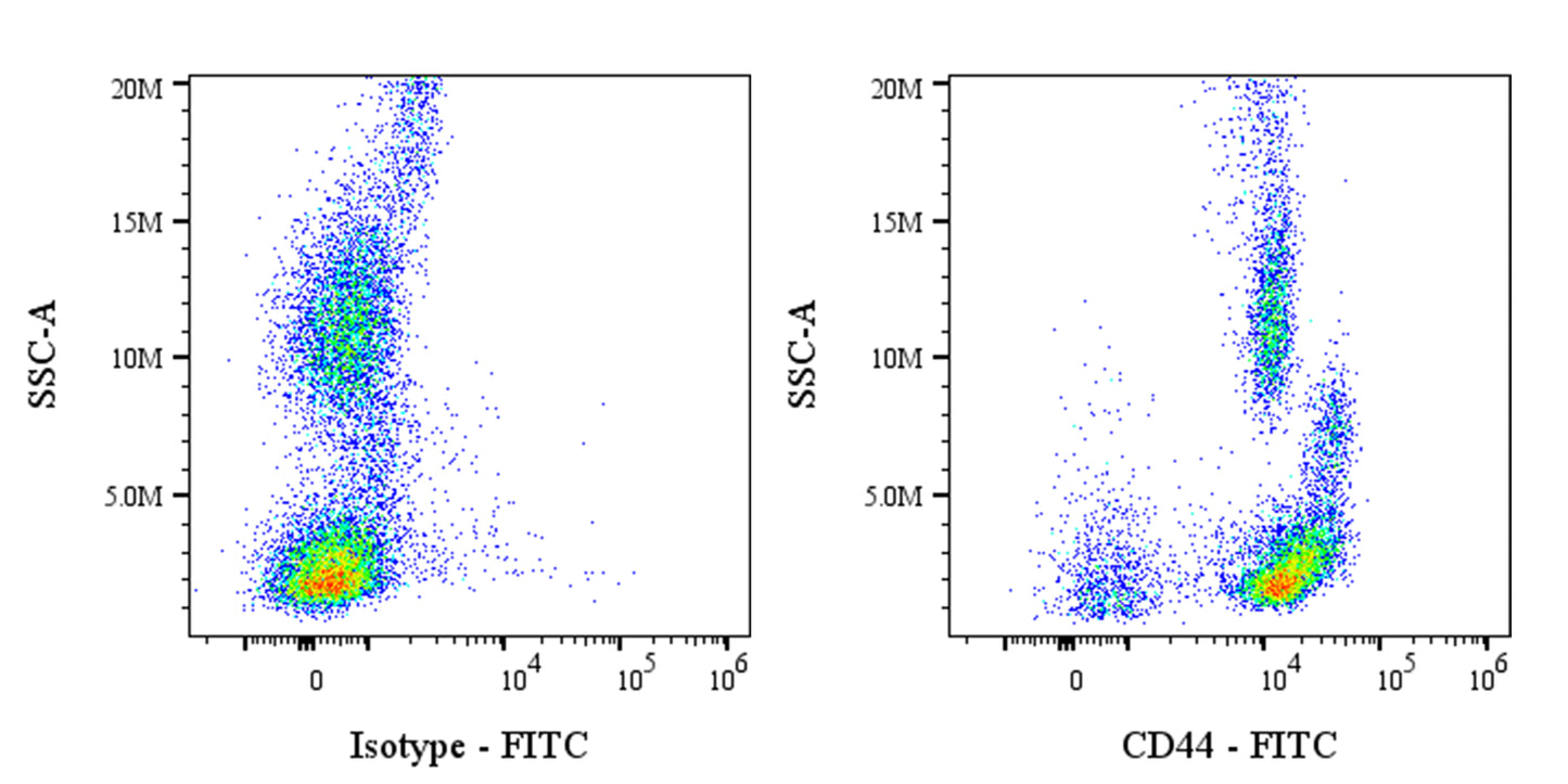 FITC Rat Anti-Mouse/Human CD44 Antibody (IM7)