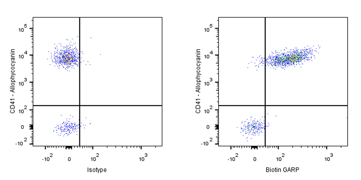 Biotin Mouse Anti-Human GARP Antibody (S-3497)