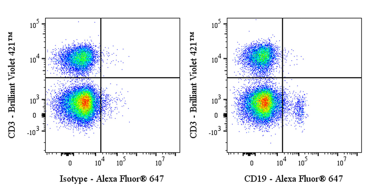 Alexa Fluor® 647 Mouse Anti-Human CD19 Antibody (S-1039-46)