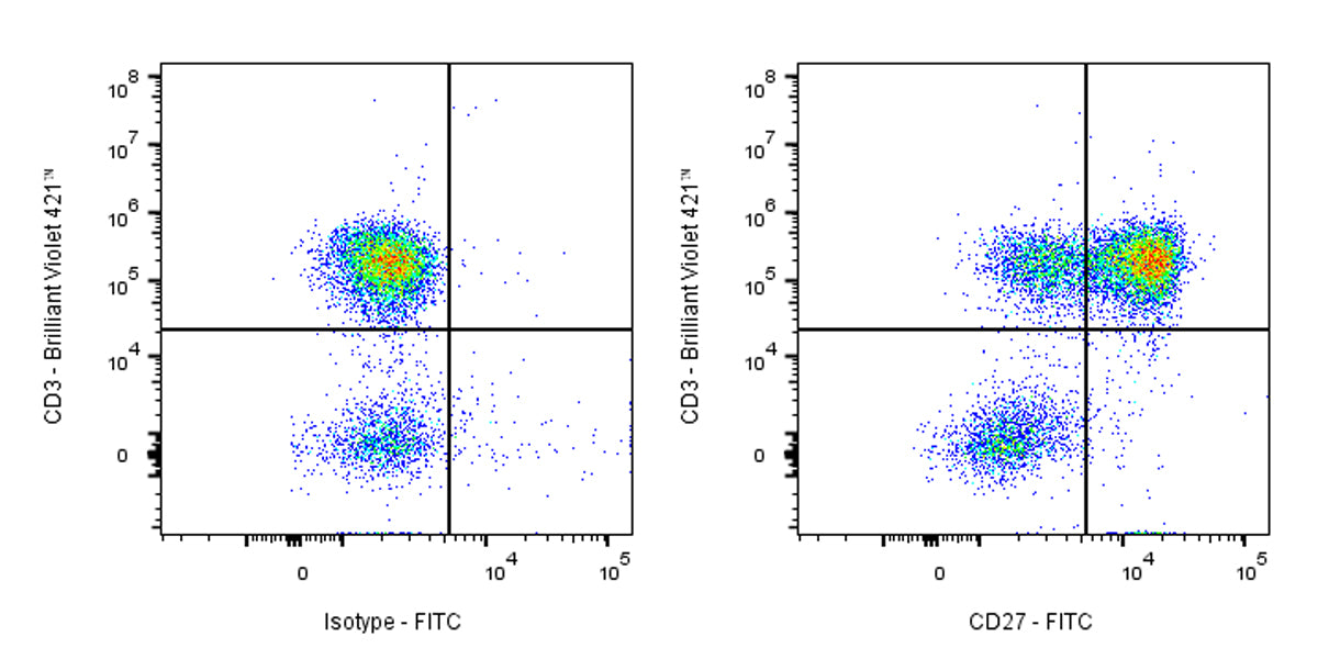 FITC Rabbit Anti-Human CD27 Antibody (S-1205-49)