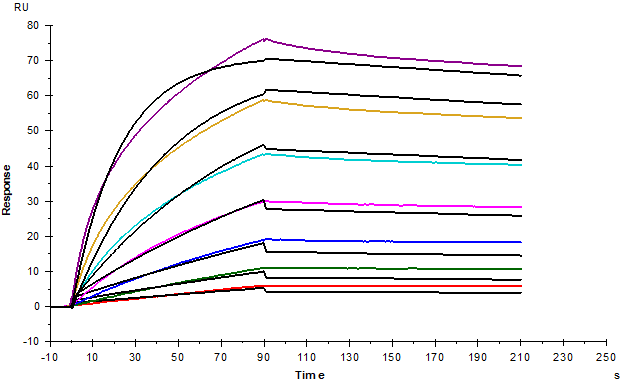 TSLP His Tag Protein, Human
