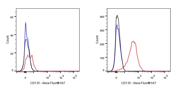Mouse Anti-Human CD135 Antibody (S-3176)