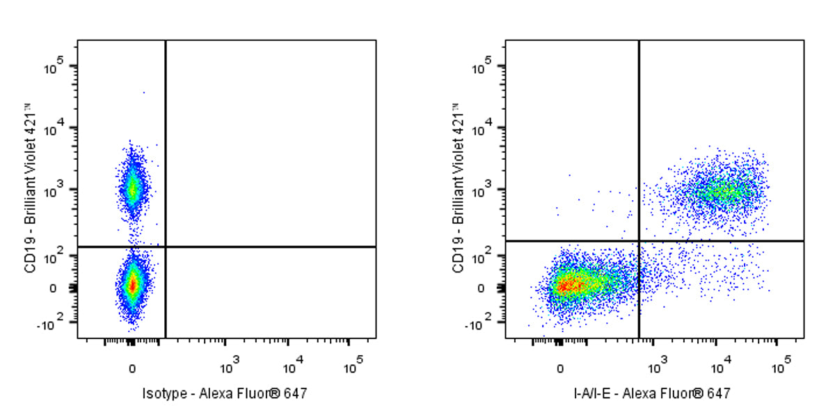 Alexa Fluor® 647 Rat Anti-Mouse I-A/I-E Antibody (M5/114.15.2)