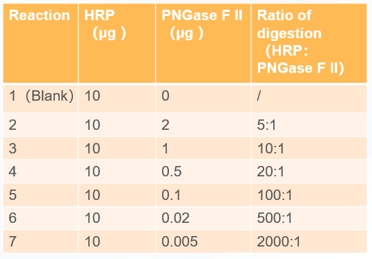 PNGase F II