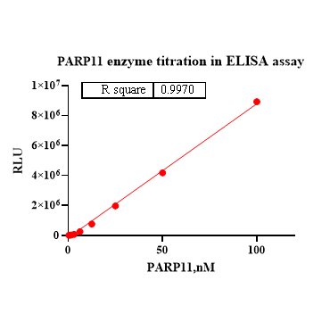 Product image media