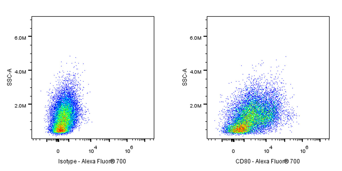 Alexa Fluor® 700 Armenian hamster Anti-Mouse CD80 Antibody (16-10A1)