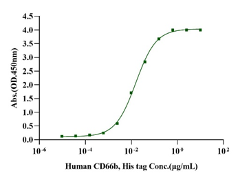 CEACAM-6/CD66c Fc Chimera Protein, Human
