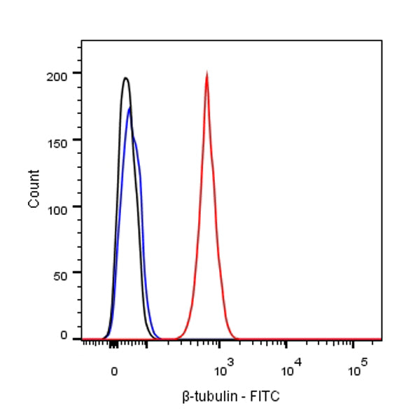 β-tubulin Recombinant Rabbit mAb (FITC Conjugate) (SDT-R014)