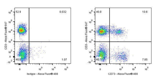 Alexa Fluor® 488 Mouse Anti-Human CD73 Antibody (S-715-115)
