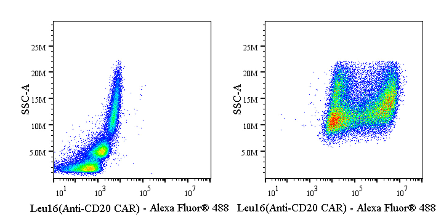 Anti-Mouse Leu16 scFv (Anti-CD20 CAR) Recombinant Rabbit mAb (Alexa Fluor® 488 Conjugate) (S-5469)