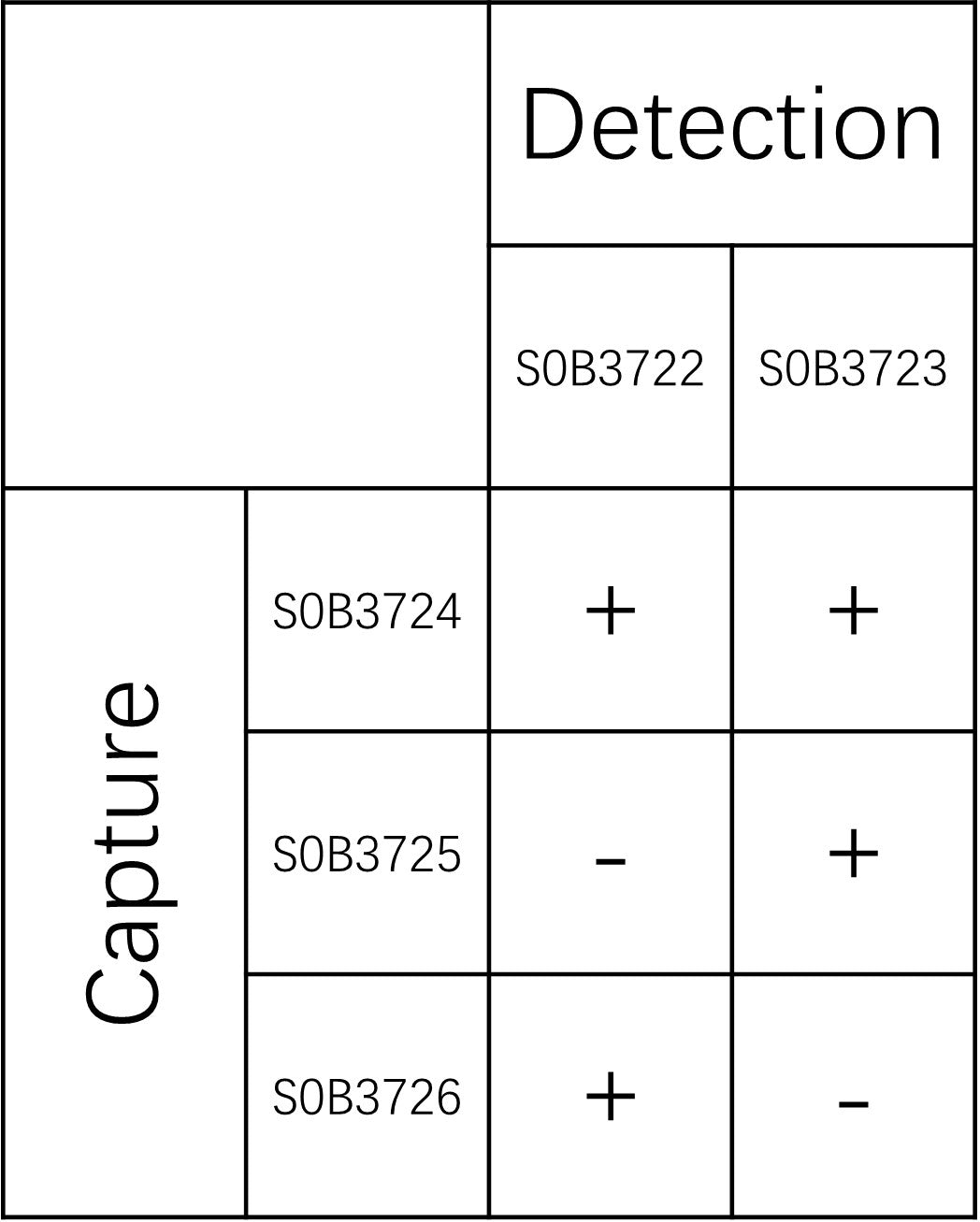 SLP-76 Recombinant Rabbit mAb (SDT-3472-13)