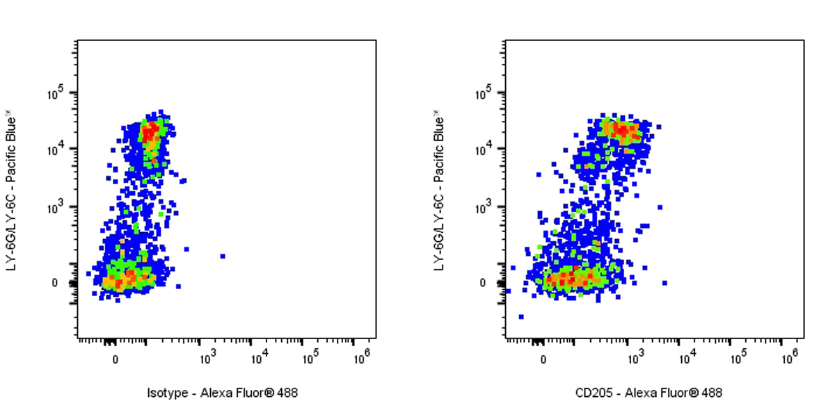 Rat Anti-Mouse CD205 Antibody (NLDC-145)