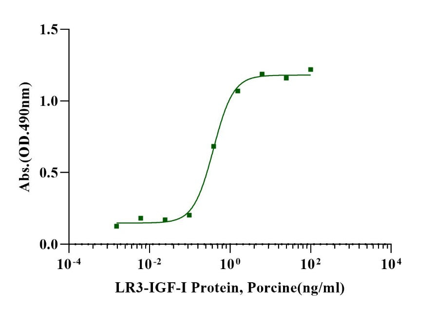 LR3-IGF-I Protein, Porcine