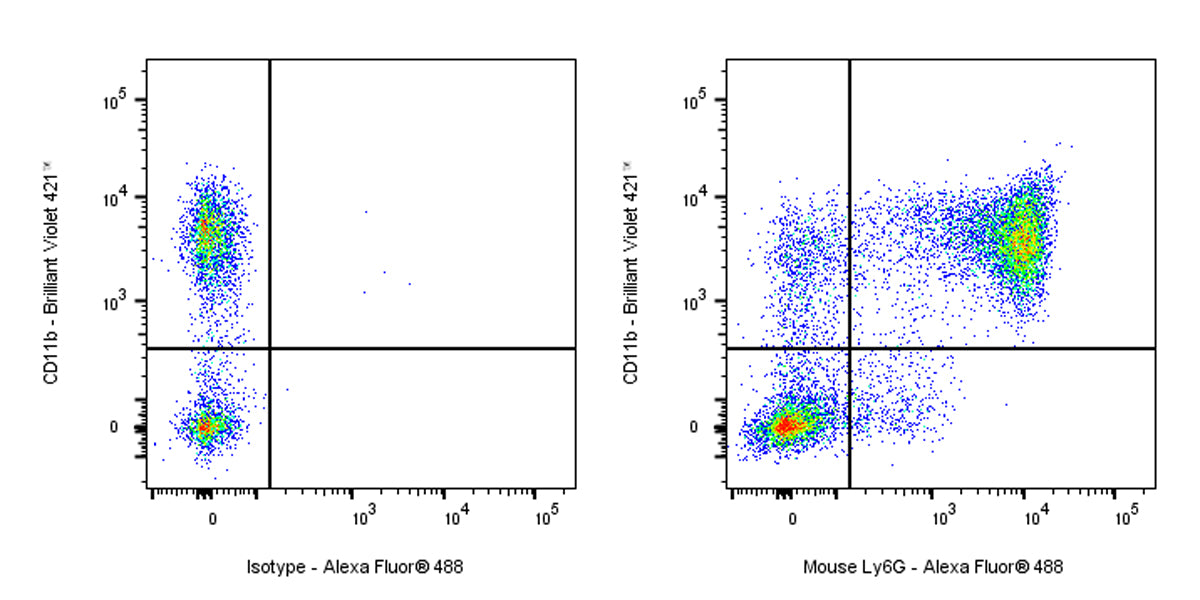 Alexa Fluor® 488 Rat Anti-Mouse Ly6G Antibody (1A8)