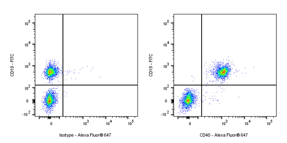 Rat Anti-Mouse CD40 Antibody (FGK4.5)