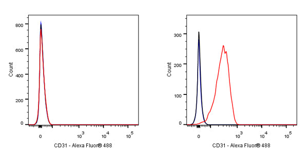 CD31 Mouse mAb (S-934-6)