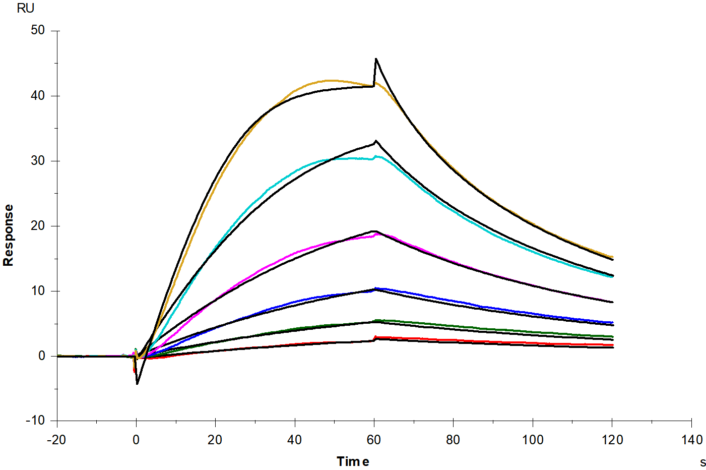 TGF-β2 Protein, Human