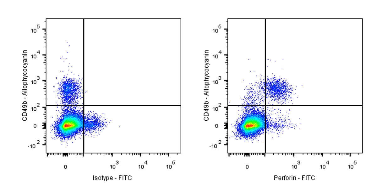 FITC Rat Anti-Mouse Perforin Antibody (S-R644)