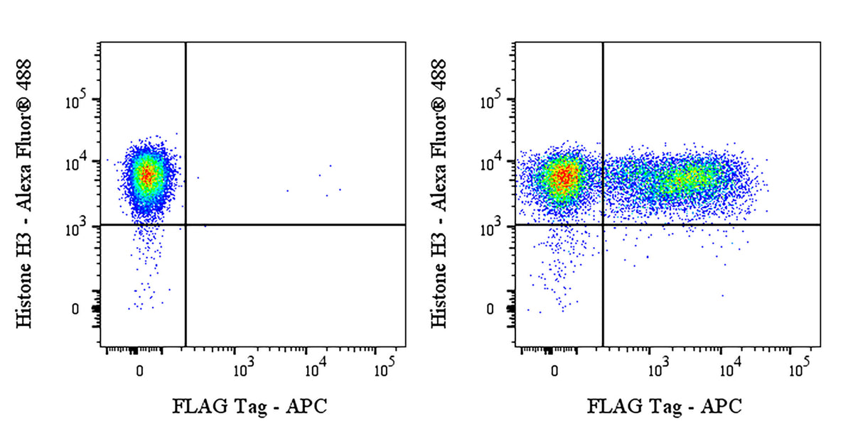 FLAG Tag Recombinant Rabbit mAb (APC Conjugate) (S-SC044)